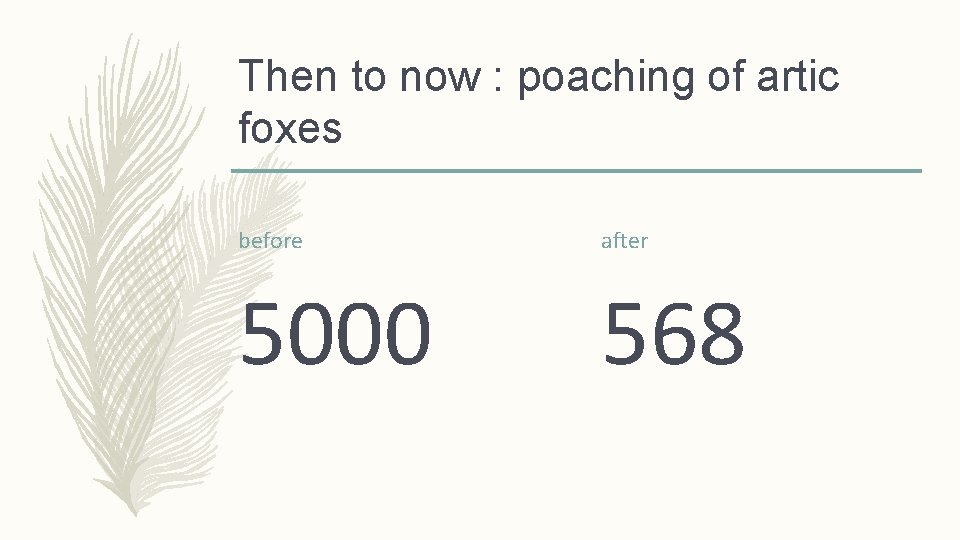 Then to now : poaching of artic foxes before after 5000 568 