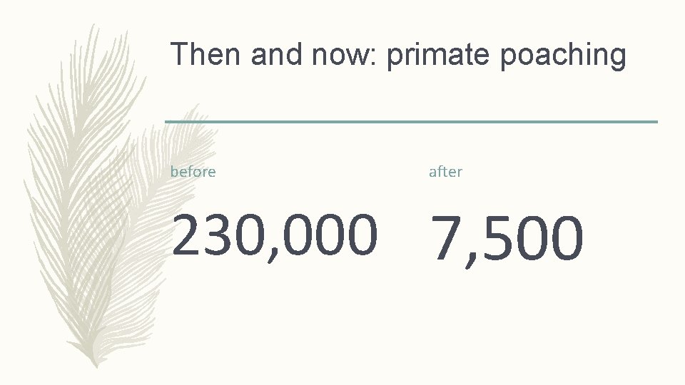 Then and now: primate poaching before after 230, 000 7, 500 