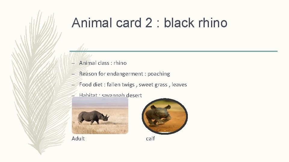 Animal card 2 : black rhino – Animal class : rhino – Reason for