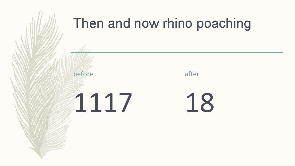 Then and now rhino poaching before after 1117 18 
