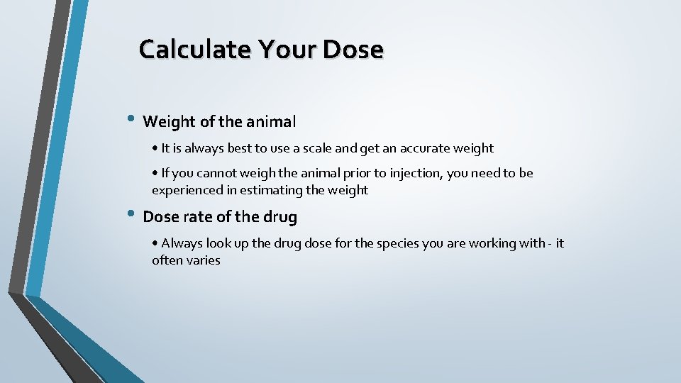 Calculate Your Dose • Weight of the animal • It is always best to