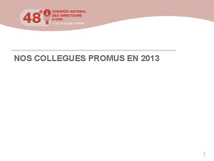 NOS COLLEGUES PROMUS EN 2013 1 