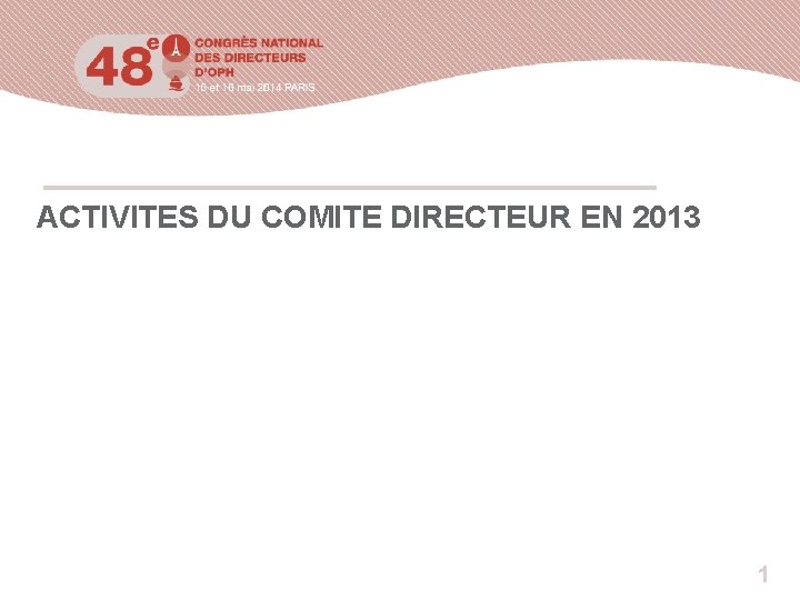 ACTIVITES DU COMITE DIRECTEUR EN 2013 1 