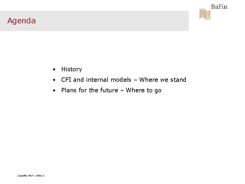 Agenda • History • CFI and internal models – Where we stand • Plans
