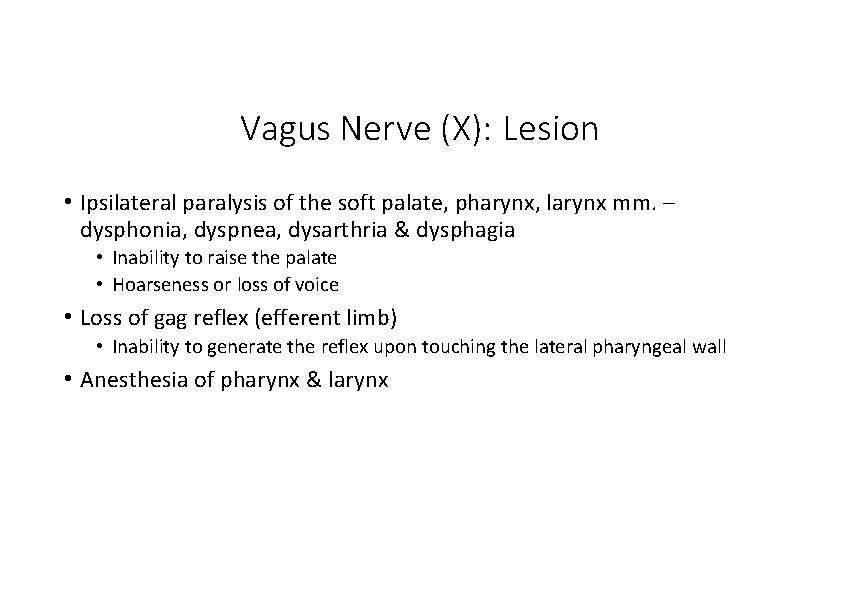 Vagus Nerve (X): Lesion • Ipsilateral paralysis of the soft palate, pharynx, larynx mm. Vagus Nerve (X): Lesion • Ipsilateral paralysis of the soft palate, pharynx, larynx mm.