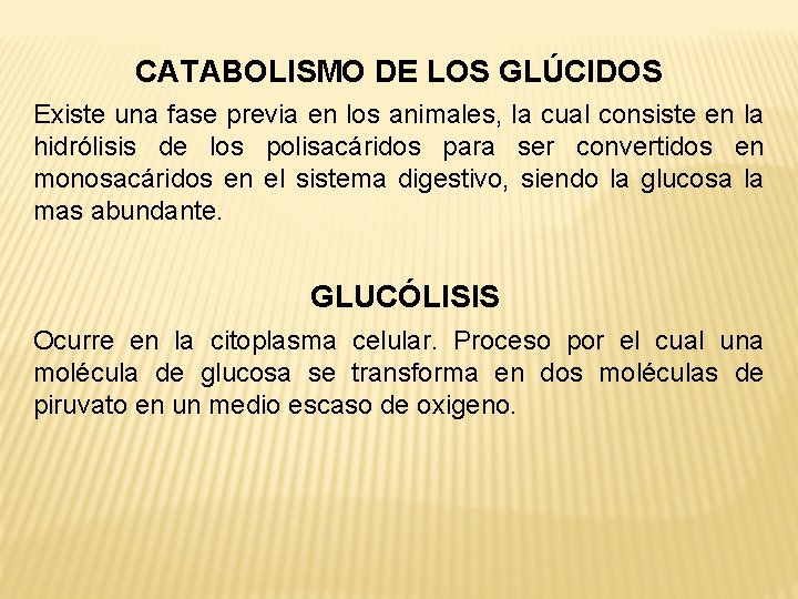 CATABOLISMO DE LOS GLÚCIDOS Existe una fase previa en los animales, la cual consiste