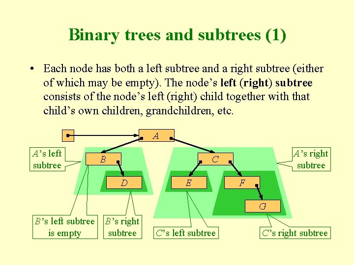 Binary trees and subtrees (1) • Each node has both a left subtree and