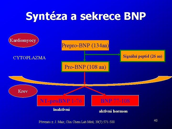 Syntéza a sekrece BNP Kardiomyocyt Prepro-BNP (134 aa) Signální peptid (26 aa) CYTOPLAZMA Pro-BNP