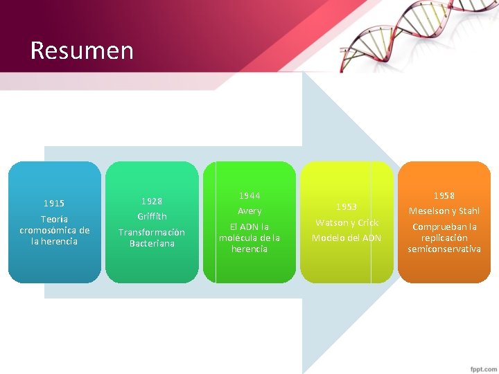 Resumen 1915 Teoría cromosómica de la herencia 1928 Griffith Transformación Bacteriana 1944 Avery El