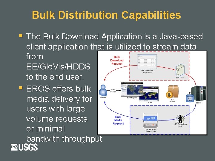 Bulk Distribution Capabilities § The Bulk Download Application is a Java-based § client application