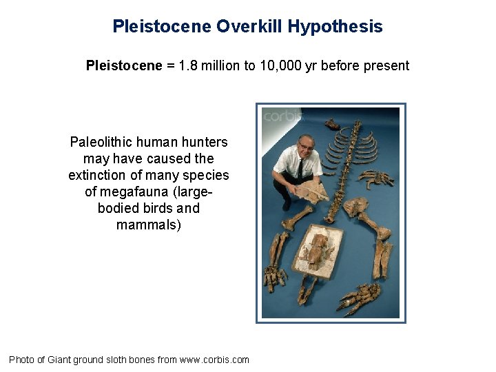 Pleistocene Overkill Hypothesis Pleistocene = 1. 8 million to 10, 000 yr before present