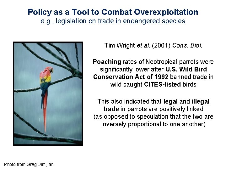 Policy as a Tool to Combat Overexploitation e. g. , legislation on trade in