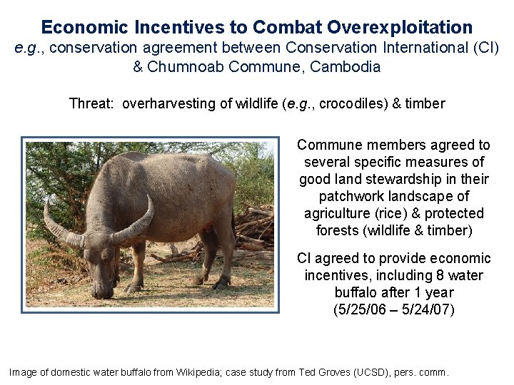 Economic Incentives to Combat Overexploitation e. g. , conservation agreement between Conservation International (CI)