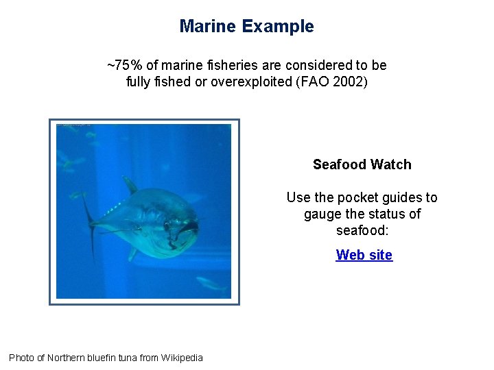 Marine Example ~75% of marine fisheries are considered to be fully fished or overexploited