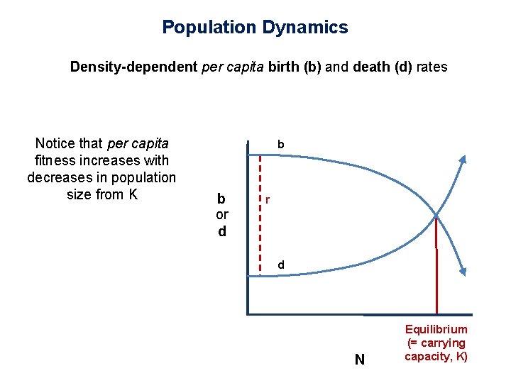 Population Dynamics Density-dependent per capita birth (b) and death (d) rates Notice that per