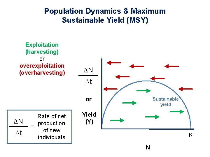 Population Dynamics & Maximum Sustainable Yield (MSY) Exploitation (harvesting) or overexploitation (overharvesting) ∆N ∆t