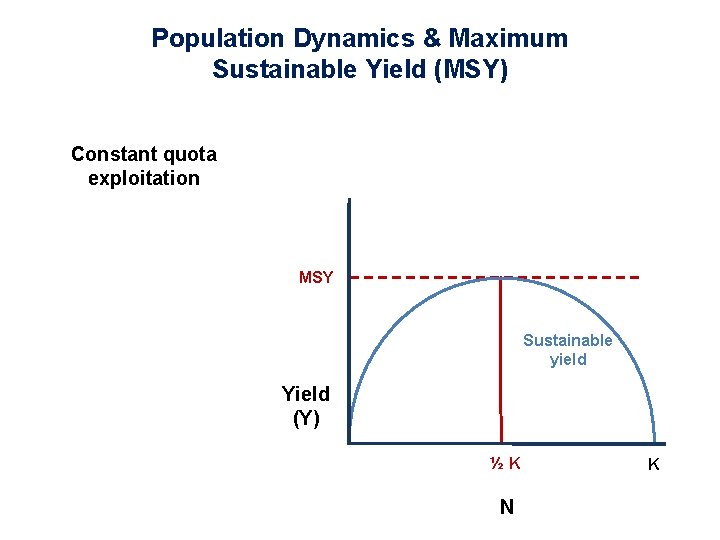 Population Dynamics & Maximum Sustainable Yield (MSY) Constant quota exploitation MSY Sustainable yield Yield