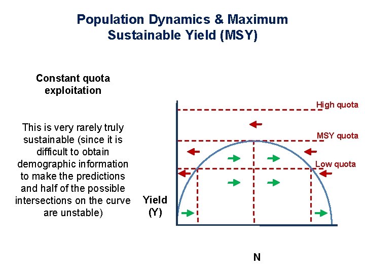 Population Dynamics & Maximum Sustainable Yield (MSY) Constant quota exploitation High quota This is