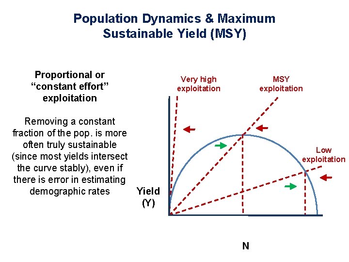 Population Dynamics & Maximum Sustainable Yield (MSY) Proportional or “constant effort” exploitation Very high