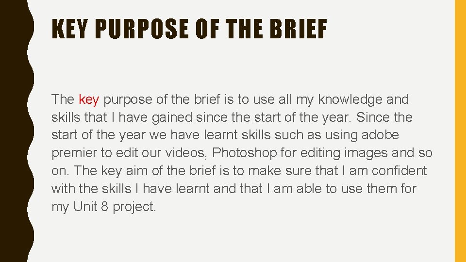 KEY PURPOSE OF THE BRIEF The key purpose of the brief is to use