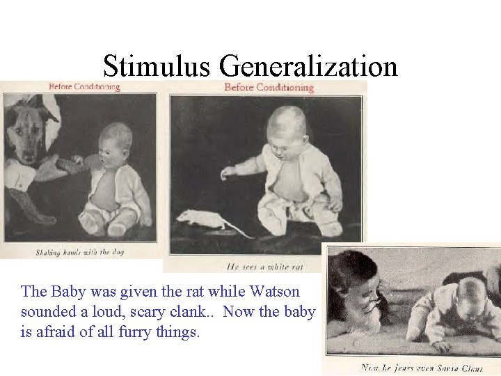 Stimulus Generalization The Baby was given the rat while Watson sounded a loud, scary