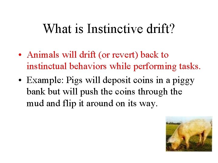 What is Instinctive drift? • Animals will drift (or revert) back to instinctual behaviors