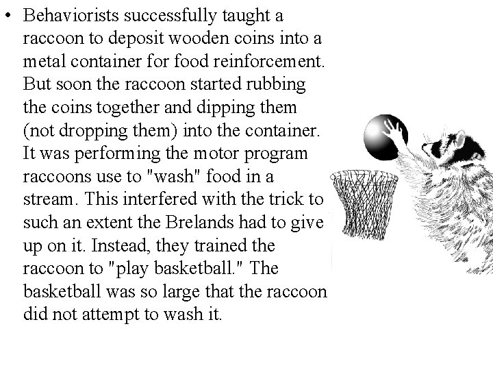  • Behaviorists successfully taught a raccoon to deposit wooden coins into a metal