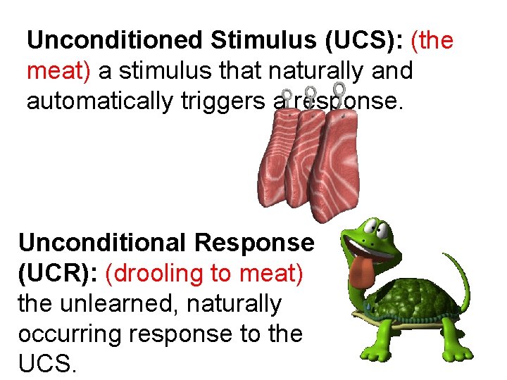 Unconditioned Stimulus (UCS): (the meat) a stimulus that naturally and automatically triggers a response.