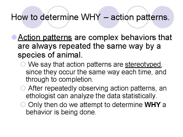 How to determine WHY – action patterns. l Action patterns are complex behaviors that