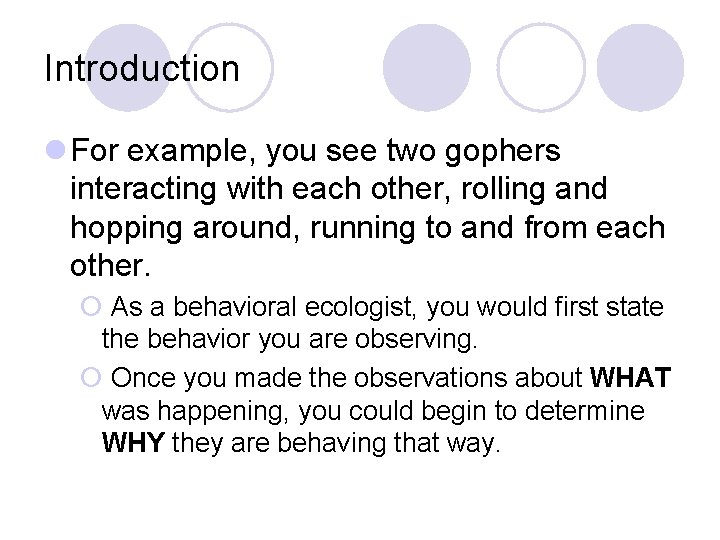 Introduction l For example, you see two gophers interacting with each other, rolling and