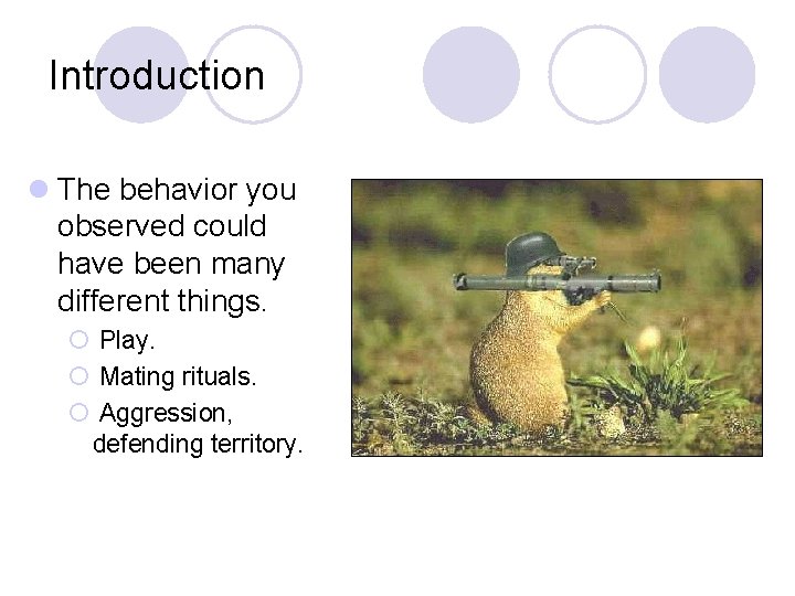 Introduction l The behavior you observed could have been many different things. ¡ Play.