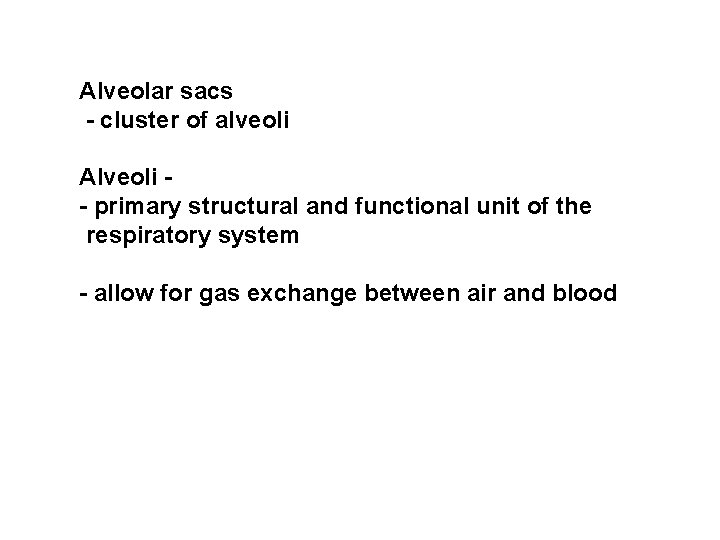 Alveolar sacs - cluster of alveoli Alveoli - primary structural and functional unit of