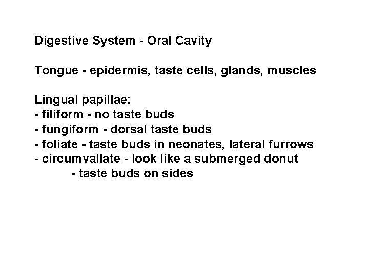 Digestive System - Oral Cavity Tongue - epidermis, taste cells, glands, muscles Lingual papillae:
