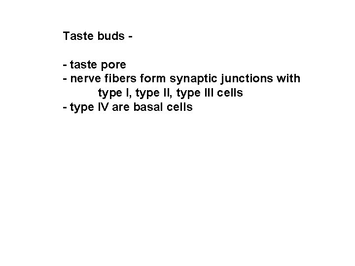 Taste buds - taste pore - nerve fibers form synaptic junctions with type I,