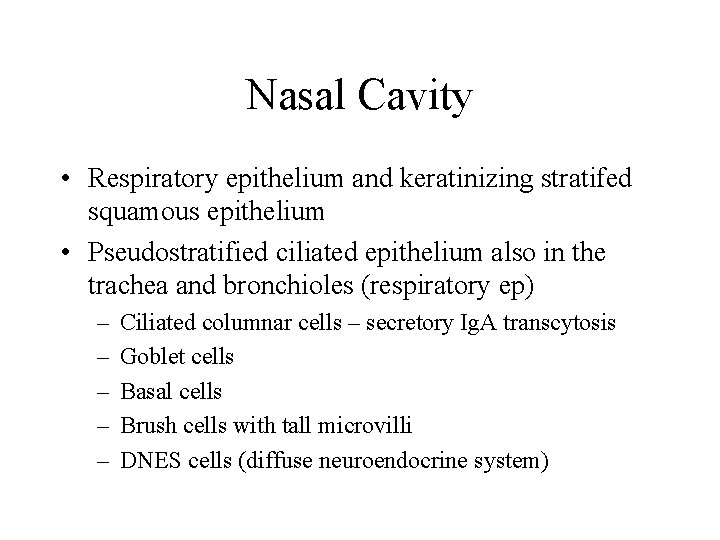 Nasal Cavity • Respiratory epithelium and keratinizing stratifed squamous epithelium • Pseudostratified ciliated epithelium