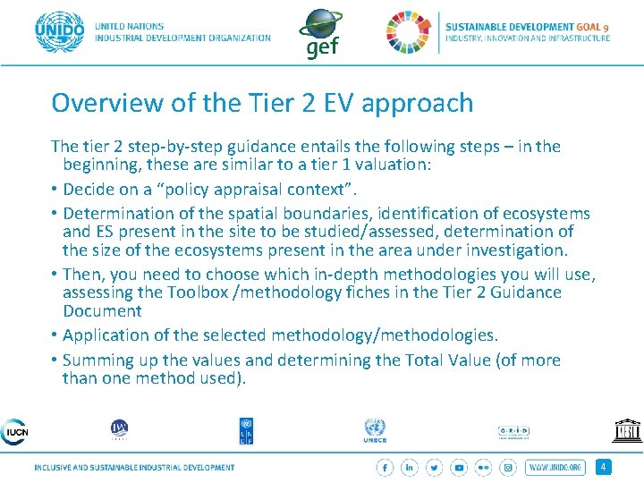 Overview of the Tier 2 EV approach The tier 2 step-by-step guidance entails the