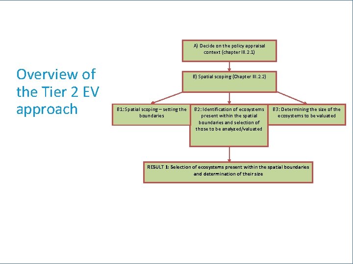 A) Decide on the policy appraisal context (chapter III. 2. 1) Overview of the