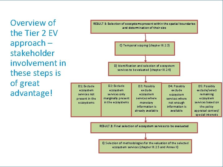 Overview of the Tier 2 EV approach – stakeholder involvement in these steps is