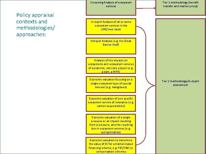 Screening Analysis of ecosystem services Policy appraisal contexts and methodologies/ approaches: Tier 1 methodology