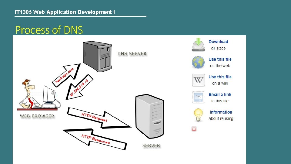 IT 1305 Web Application Development I Process of DNS 