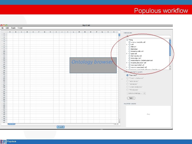 Populous workflow Ontology browser Populous 