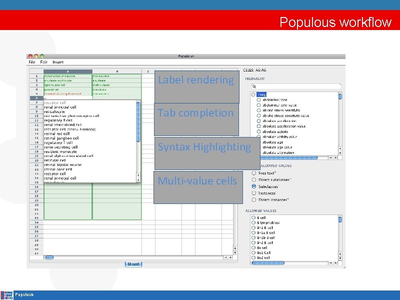 Populous workflow Label rendering Tab completion Syntax Highlighting Multi-value cells Populous 