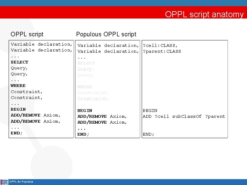 OPPL script anatomy OPPL script Variable declaration, . . . SELECT Query, . .