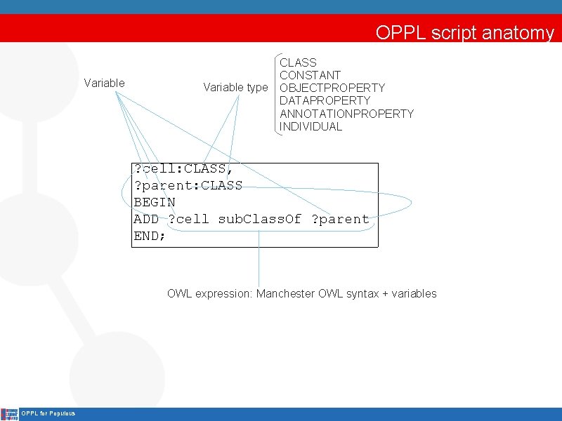 OPPL script anatomy Variable type CLASS CONSTANT OBJECTPROPERTY DATAPROPERTY ANNOTATIONPROPERTY INDIVIDUAL ? cell: CLASS,