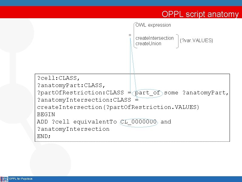 OPPL script anatomy OWL expression = create. Intersection (? var. VALUES) create. Union ?