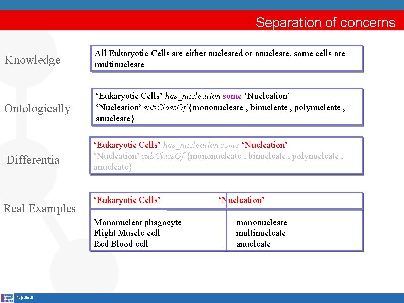 Separation of concerns Knowledge All Eukaryotic Cells are either nucleated or anucleate, some cells