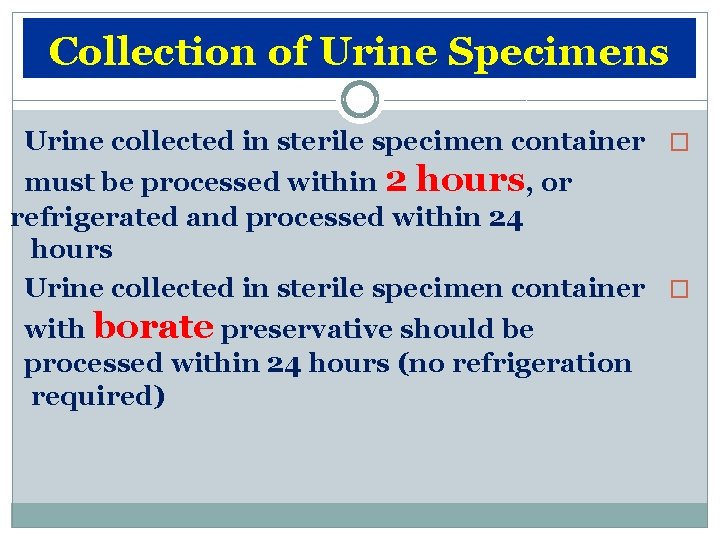 Collection of Urine Specimens Urine collected in sterile specimen container � must be processed