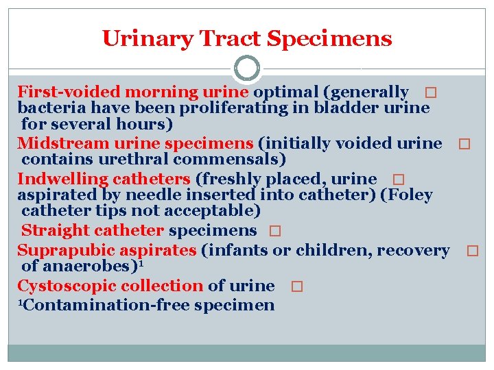 Urinary Tract Specimens First-voided morning urine optimal (generally � bacteria have been proliferating in