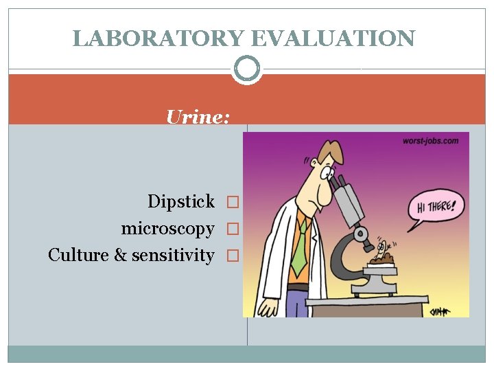 LABORATORY EVALUATION Urine: Dipstick � microscopy � Culture & sensitivity � 