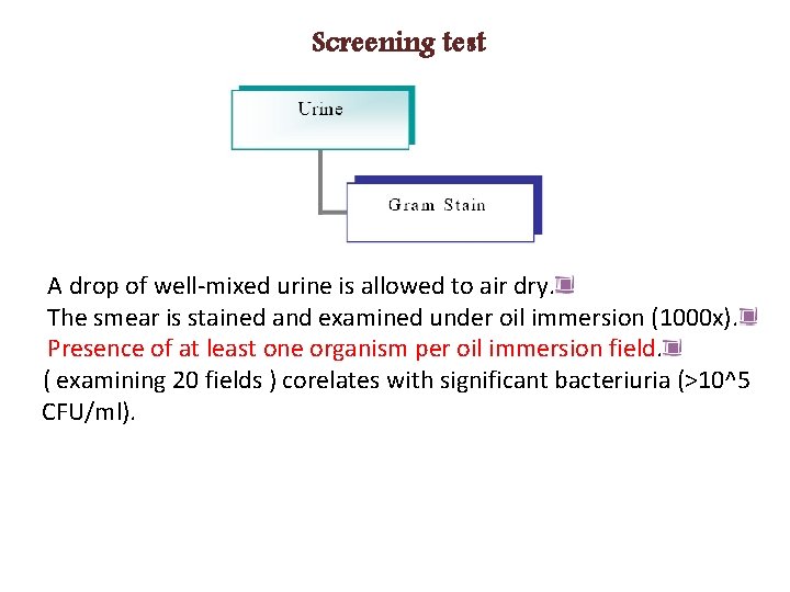 Screening test A drop of well-mixed urine is allowed to air dry. The smear